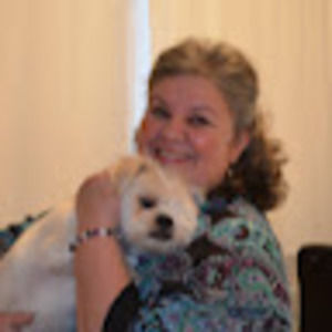 Meet your Posher, Ann